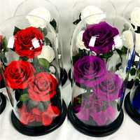Rose éternelle naturelle préservée longue durée sous cloche en verre, vente en gros, cadeau fleur éternelle, promotion 2026