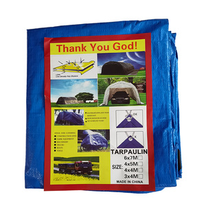 Estanque Lona Precio 8x16 PE PVC LONA Camión Lona 6 Mil 90GSM Cubierta de piscina - Product Image 1