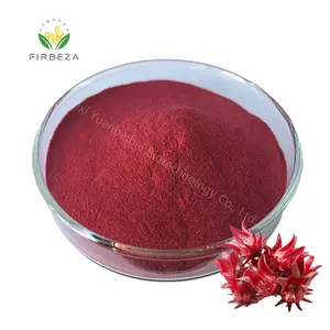 100% Alami Organik Pigmen Merah Sabdariffa Bunga Jus Bubuk Roselle Hibiscus Ekstrak