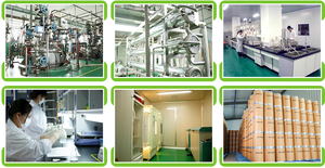 Microecológicos de grado industrial para la Agricultura y la protección del medio ambiente acuático con Bacillus Subtilis Shandong Origin - Product Image 6