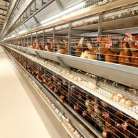 Système d'élevage à bon prix, cages pour poules pondeuses, équipement complet pour ferme avicole, prix des cages pour poules pondeuses