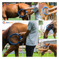 Mesin terbaru Terapi magnetik Physio untuk kuda terapi cincin perangkat terapi PEMF LOOP mesin nyeri
