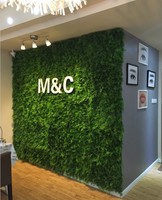 Panneau mural végétal artificiel ignifuge de classe B pour la décoration intérieure de bureaux, maisons et balcons