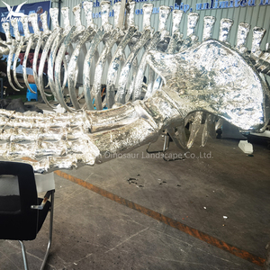 Modelo de <span class=keywords><strong>Esqueleto</strong></span> de <span class=keywords><strong>Ballena</strong></span> de Fibra de Vidrio Plateado Grande de Haichuan, Modelo de Fósil de Animal Marino de Tamaño Real para Exposiciones en Museos y Centros de Ciencias - Product Image 3