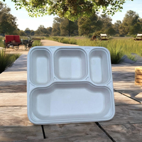 Barquette alimentaire carrée moderne biodégradable en bagasse écologique à 4 compartiments, légère, étanche et jetable avec couvercle