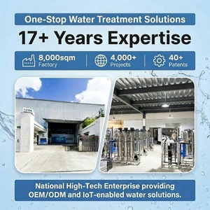 Planta de Tratamiento de Agua por Ósmosis Inversa Industrial de 250 LPH para Sistema Purificador de Agua Potable con 99% de Desalinización, Precio de Fábrica - Product Image 6