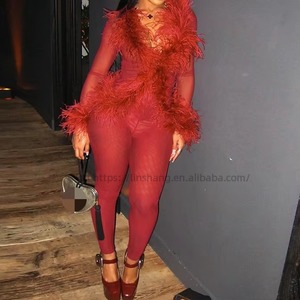 New Women's Solid Color <b>Mesh</b> Fur Long Sleeve Top & Skinny <b>Pants</b> 2-Piece Set Fashion - Product Image 4