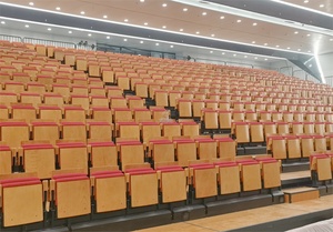 Frog Sports - Gradas Retráctiles Plegables Automáticas Eléctricas de Acero Inoxidable Personalizadas para Arenas y Teatros <span class=keywords><strong>con</strong></span> Sillas Abatibles - Product Image 4