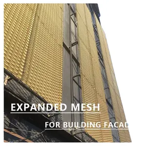 Panneaux de revêtement métallique en maille métallique expansée enduite de poudre mur extérieur