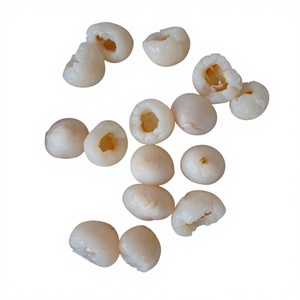 Buah leci kaleng dalam sirup 567g/800g/2840g