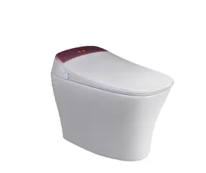 Hochwertige Großhandel M89 Smart Automatic WC Badezimmer Spezielle Smart Toiletten