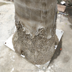 A prueba de Uv personalizado artificiales Palmeras de coco <span class=keywords><strong>gigante</strong></span> árbol de palma para centro comercial al aire libre casa jardín decoración - Product Image 6