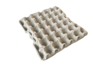 Đúc bột giấy nhôm/đồng/nhựa khay trứng khay hk66b mô hình ISO9001 được chứng nhận giải pháp đóng gói bền vững sử dụng chất thải - Product Image 5