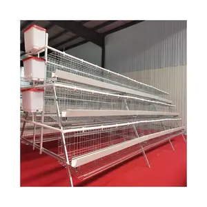 A Types of Automatic Battery Laying Egg Hens System Poultry Chicken Layer Cage