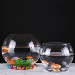 D-Vormige Glazen <span class=keywords><strong>Aquarium</strong></span> Met Transparante Basis Voor Moderne Huisdecoratie; Fles Voor Aquaponics En Microlandschappen - Product Image 5