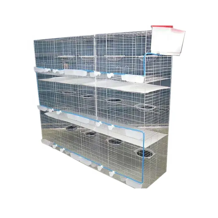 SSD Hot Selling Pigeon Breeding Cage From China Factory