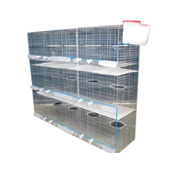 Vente chaude Pigeon élevage couche Cage nouvelle condition SSD de l'usine de la Chine