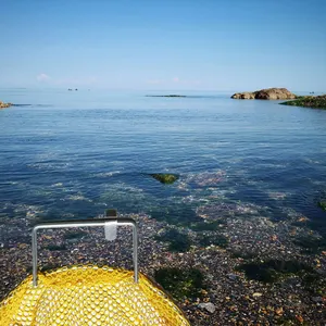 Pas geçirmez galvanizli tel tutucu dalış spearfishing yakalamak taşıma net ayrılabilir balık ağı yengeç çanta