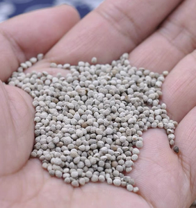 1kg <span class=keywords><strong>di</strong></span> prezzo all'ingrosso Nautral <span class=keywords><strong>semi</strong></span> <span class=keywords><strong>di</strong></span> perilla bianchi misti interi grezzi e <span class=keywords><strong>semi</strong></span> <span class=keywords><strong>di</strong></span> perilla rosso marrone per uccelli - Product Image 3