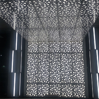 Plafonds suspendus en aluminium perforé ignifuge au design élégant et personnalisé pour hall d'entrée avec éclairage LED