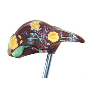 Model Lesi Hati Manusia Struktur Portal Hati Lobus Hati Peralatan Pengajaran Ilmu Kedokteran Model Anatomi - Product Image 2