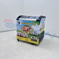 110V 220V Kommerzielle tragbare Mini-Eiscreme-Display Gefrier schrank Kuchen Display Kühlschrank Kleine Eisdiele Showcase