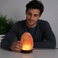 Lampe en sel rose de l'Himalaya à 7 couleurs changeantes, forme naturelle, lampe en cristal de l'Himalaya avec base en bois
