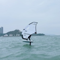 Aile de surf en polyester pour foil, directement de l'usine Kinma, pour le windsurf et le wing foil