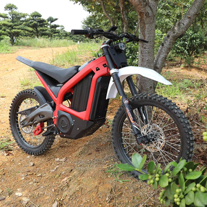 Motocicleta Eléctrica de 72v 3000w con Motor Central, Suspensión Completa DNM, Motocross - Product Image 1