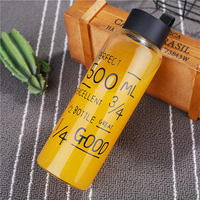 Bouteille d'eau en verre borosilicaté de sport pour l'eau