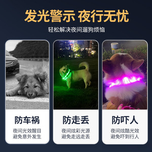 Collier lumineux à LED pour chiens et chats, rechargeable, pour utilisation nocturne, couleur unie, matériau plastique, collier pour animaux de compagnie quatre saisons - Product Image 5