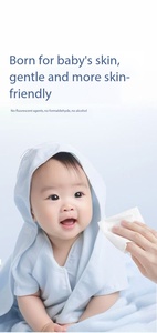 Lingettes humides biodégradables pour la maison avec logo personnalisé, 80 pièces, lingettes non tissées jetables, compostables, en provenance de Chine - Product Image 2