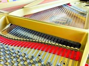 <span class=keywords><strong>Piano</strong></span> de cola asequible, bien mantenido, con sonido claro y tacto sensible, ideal para uso doméstico y lecciones privadas. - Product Image 4