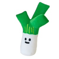 Jouets en peluche amusants personnalisables de grande taille, en vrac, à base de plantes, coussins de lit amusants, cadeaux d'anniversaire – Vente chaude