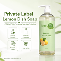 Savon à vaisselle liquide écologique biologique sans paraben, nettoyant multi-usages pour la vaisselle, la cuisine et la salle de bain, Gleditsia Sinensis, citron