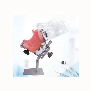 Simulador de cabeza fantasma dental para práctica clínica, estomatología, Phentom, modelo de cabeza biónica, herramienta de simulación de enseñanza, silla o escritorio - Product Image 4