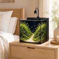 Ensemble d'aquarium de bureau personnalisable directement de l'usine, avec filtre sec-humide intégré et éclairage LED zoomable pour la vente en gros