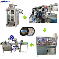Machine d'emballage automatique multi-canaux pour snus, capacité de 2700 sachets/heure, pour le remplissage de sachets de nicotine et de tabac, machine à fabriquer le snus et le tabac à mâcher.