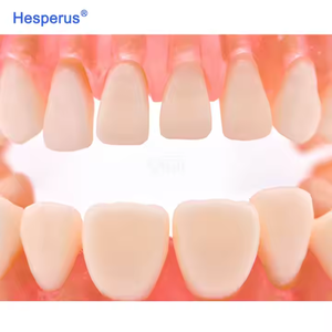 Modèle dentaire standard avec dents amovibles, gencives souples, TYPODONT adulte en plastique, manuel pour l'étude et l'enseignement - Product Image 6