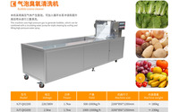 Dezoton Automatische Fruit- en Groenteverwerkingslijn Vortex Wasmachine Watercirculerende Groentewasinstallatie
