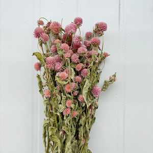 Tiges d'amarante globe séchées en gros, fleurs éternelles naturelles de Gomphrena pour la vente au détail aux fleuristes et les fournitures d'artisanat DIY - Product Image 6