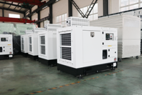 Générateur diesel silencieux Weichai fiable de 16 kW 20 kVA, groupe électrogène insonorisé triphasé pour usage industriel, domestique, agricole, télécom, clinique