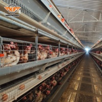 Système de cages en batterie de type H entièrement automatique pour poules pondeuses, équipement d'élevage avicole à bon prix