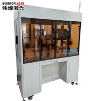 Machine de marquage laser UV entièrement automatique pour le lavage à l'eau, machine de marquage d'étiquettes en tissu