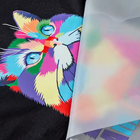 Film DTF à pelage à chaud de type économique à prix réduit, nouveau modèle, rouleau PET 60 cm, films DTF pour impression par transfert thermique sur t-shirts