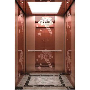 Hành khách thang máy cabin STS chân tóc 304 khắc sơn vàng hồng vàng cho thang máy - Product Image 3