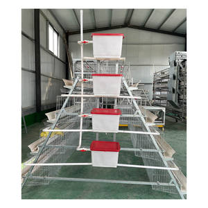 Grande ferme avicole au design moderne Cages à poulets avec batterie galvanisée automatique Cage à oiseaux à <span class=keywords><strong>vendre</strong></span> au Zimbabwe - Product Image 2