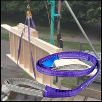 Eslinga de elevación de poliéster de alta tenacidad, 1 tonelada, 25 mm x 1 m-12 m, cinta plana morada, factor de seguridad 4:1 5:1 6:1 7:1, CE GS TUV