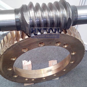 Giao thông vận tải máy móc chống phản ứng dữ dội thép không gỉ Worm Gear và Bronze Worms - Product Image 4