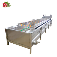 Fruit- en groentewasmachine met bubbelreiniging, ultrasone en bubbelreinigingsmachine